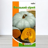 Семена тыквы Волжская серая, 2г, ТМ Яскрава